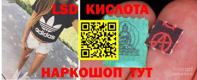 винт Кинель