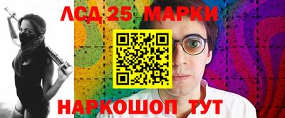 прущие крисы Кингисепп