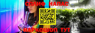 прущие крисы Кингисепп