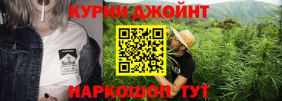 прущие крисы Кингисепп