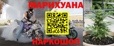 прущие крисы Кингисепп
