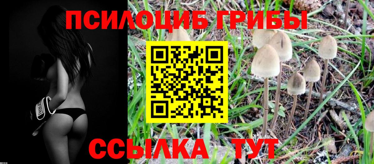 Галлюциногенные грибы Psilocybe  Вход с VPN  Галлюциногенные грибы мухоморы  Петровск 