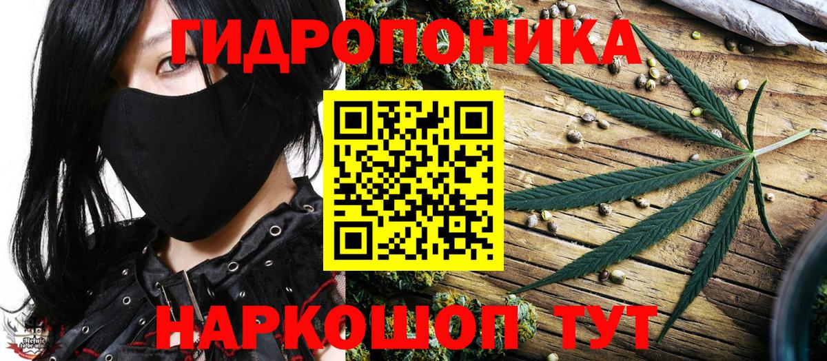 Конопля индика  Вход с VPN  Конопля конопля  Петровск  Канабис Bruce Banner 